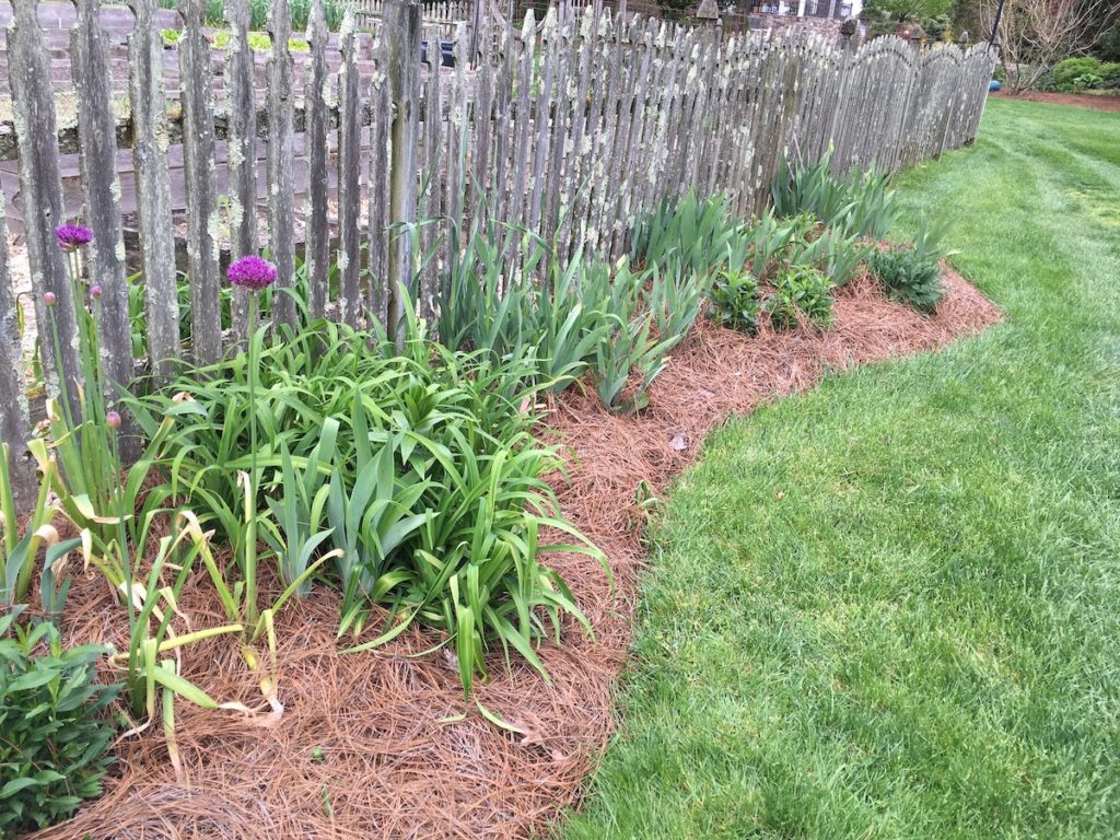 Order Online MidAtlantic Pine Straw Mulch