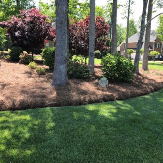 Pine Straw Mulch in Garden Bed
