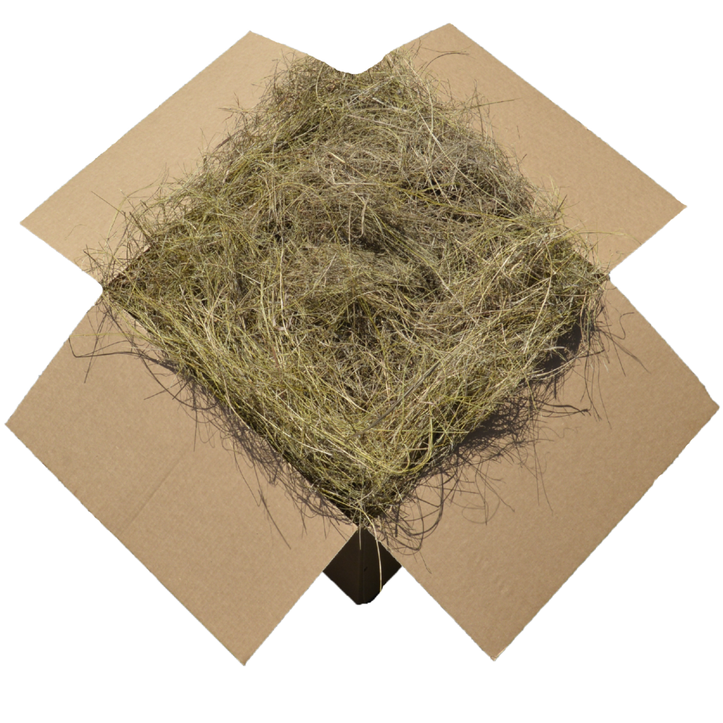 Salt Hay (XLarge Box) MidAtlantic Pine Straw Mulch