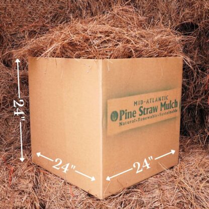 Longleaf Pine Needle Mulch Delivery - XL Shipping Box