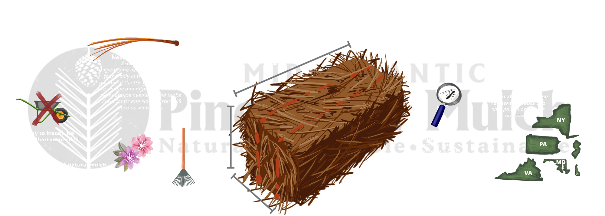 Pine Straw Bale Infographic