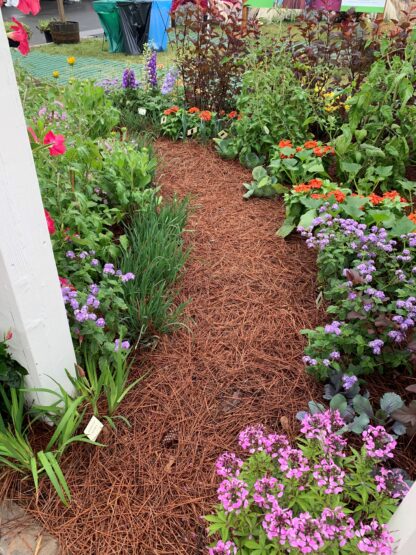 Organic Pine Straw Mulch in Flower Bed
