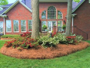 Pine Straw Garden Mulch