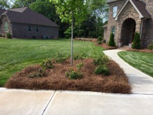 Pine Straw Garden Bed Mulch