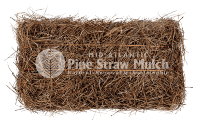Organic Longleaf Pine Needle Mulch Bale