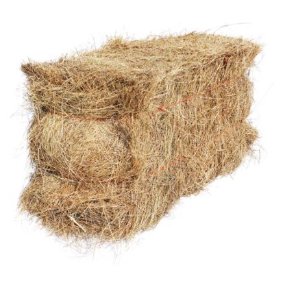 Salt Hay Bale - Vegetable Garden Mulch Delivery