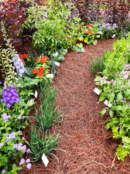 Pine Straw Mulch in Garden Bed