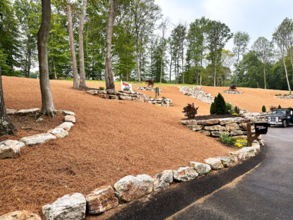 Pine Straw Mulch Ground Cover around Trees