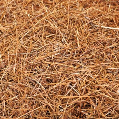 Shredded Pine Needles - Bags of Mulch